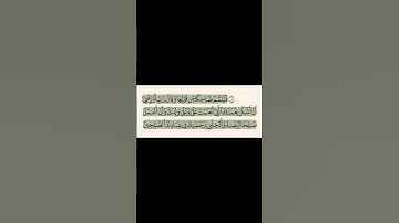 ﴿فَتَبَسَّمَ ضاحِكًا مِن قَولِها﴾ سورة النمل: ١٩