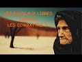 Combattre les radicaux libres