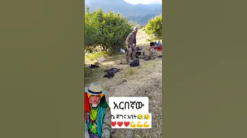 አርበኛ መሳፍንት በጎጃም ሙዚቃ ፈታ ሲል ከድል መልስ ፋኖ ሰበርዜና Ethiopian እስክስታ ሀይሌሚዲያ ሰብስክራይብ ያድርጉ ፋኖ 