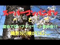 【NEW】スーパーコンパニオンと宴会でないプライベート飲み会!?《撮影NG嬢と二人で仲良く❤️個人的飲み会🥂》お互いのスケジュール合い次第撮影決行！
