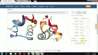 How to download a PDB file Introduction to bioinformatics series #5 PDB