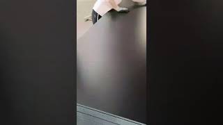 Chinese F17 Formply Plywood Black Stallion Premium Formply 17Mm Scaffolding Sydney Melbourne