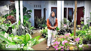 New Stock of Tanhis Fresh and Beautiful Josh