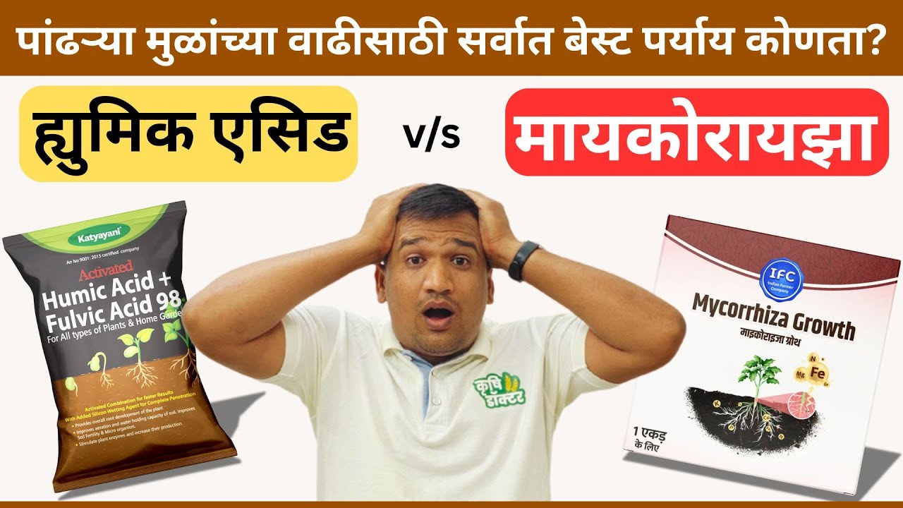 पांढऱ्या मुळांच्या वाढीसाठी सर्वोत्तम पर्याय: ह्युमिक एसिड की मायकोरायझा? । #krushidoctor #sheti