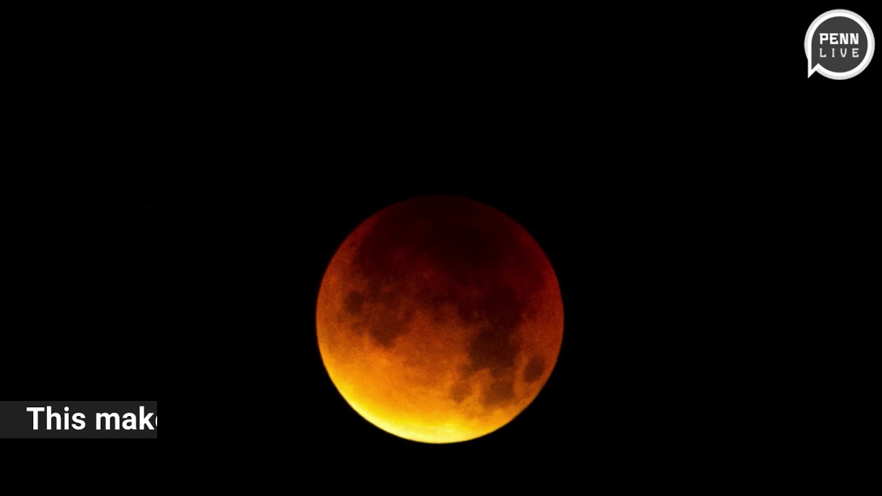 Watching January's full, blue, blood super moon eclipse