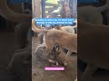 #viral #shortvideo #help
