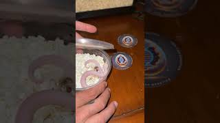 *SASSY* Leucistic hognose baby female unbox #unboxing #snake #hognosesnake #viralvideo #shorts