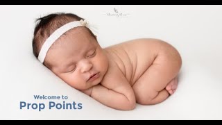 Rewards Program - Tiny Tot Prop Shop - Prop Points - Newborn Photo Props #newbornphotography