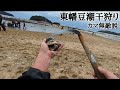 草刈り用のカマを使うと(潮干狩り)が楽しくなります🐟【愛知県東幡豆潮干狩り開催日ガチ動画】