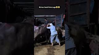 Ek Aur Sach Pata Laga 😂 #comedyreels #viralvideo #support #shorts #share