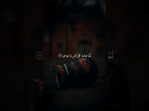 أكتب شيء تؤجر عليه 🖤😴. || القارئ علاء عقل