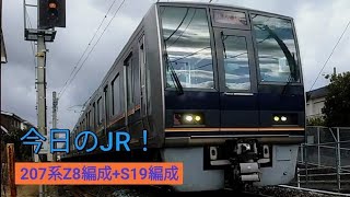 今日のJR！今日は学研都市線の単線区間を爆速で走る、207系Z8編成+S19編成!!1/5水曜日くもり⛅　JR西日本学研都市線　207系Z8編成　207系S19編成　JR三山木～下狛