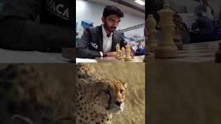 When Gukesh Spots The Blunder.