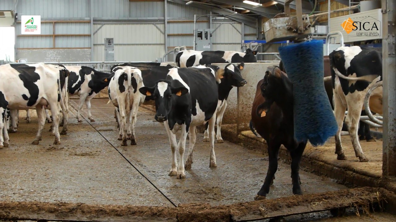 Présentation du batiment d'élevage de l'Institut de Genech