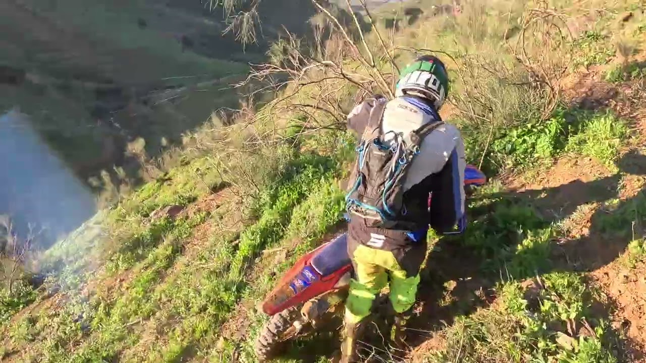 Jarvisland 2026 - carrera