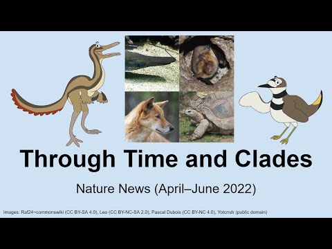 Through Time And Clades