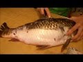 КАК ПОЧИСТИТЬ БОЛЬШОГО КАРПА НА КУХНЕ .HOW TO CLEAN A LARGE CARP.MY KITCHEN