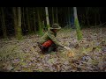 The first bushcraft tour - camp in the forest - a bitter disappointment - Vanessa Blank