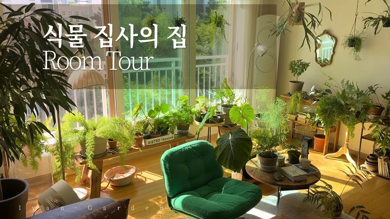 룸 투어 | 식물 집사의 집 | 플랜테리어 | 새로 키우는 식물들