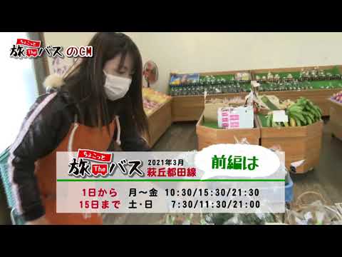 ３月のちょこっと旅Ｔｈｅバス前編は・・・？