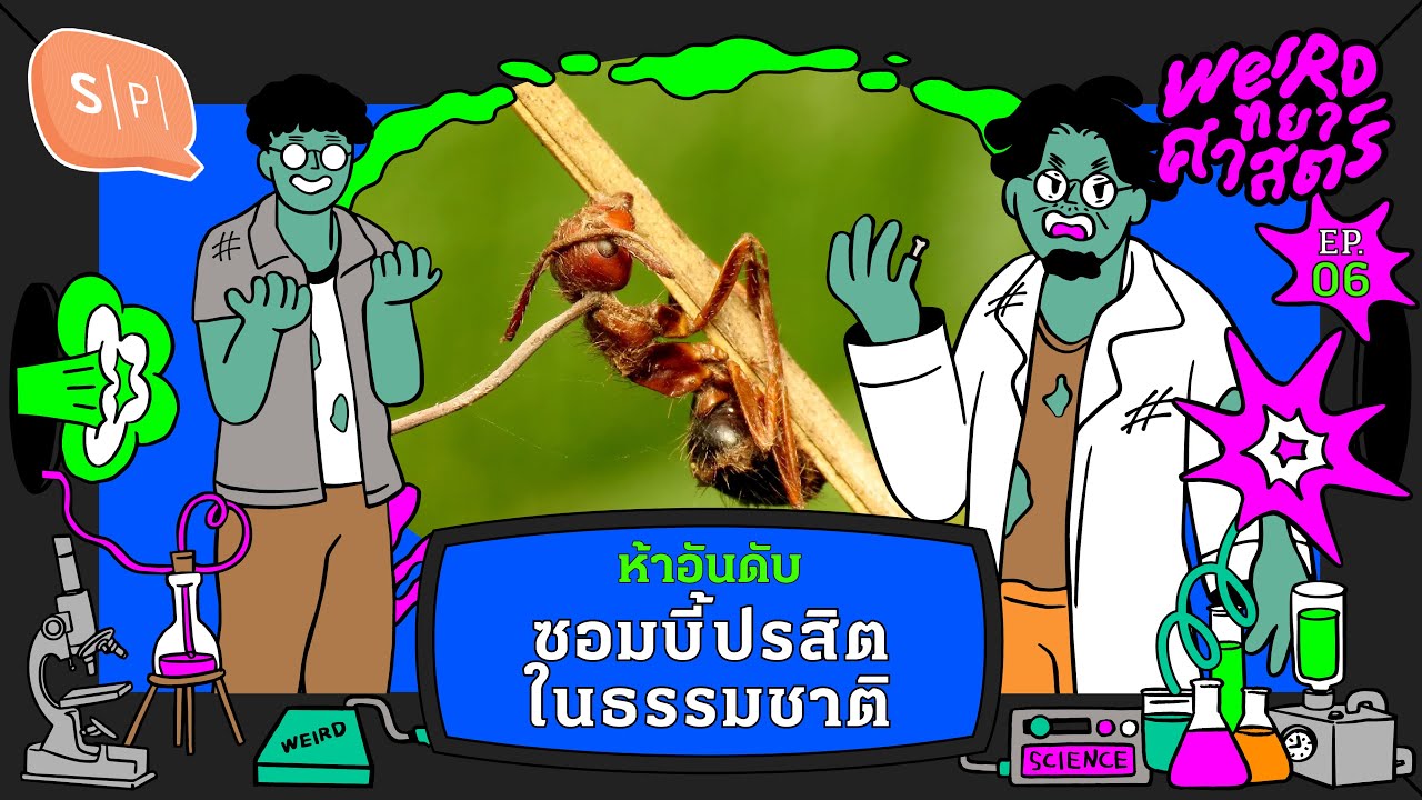 ห้าอันดับ ซอมบี้ในธรรมชาติ | Weirdทยาศาสตร์ EP06