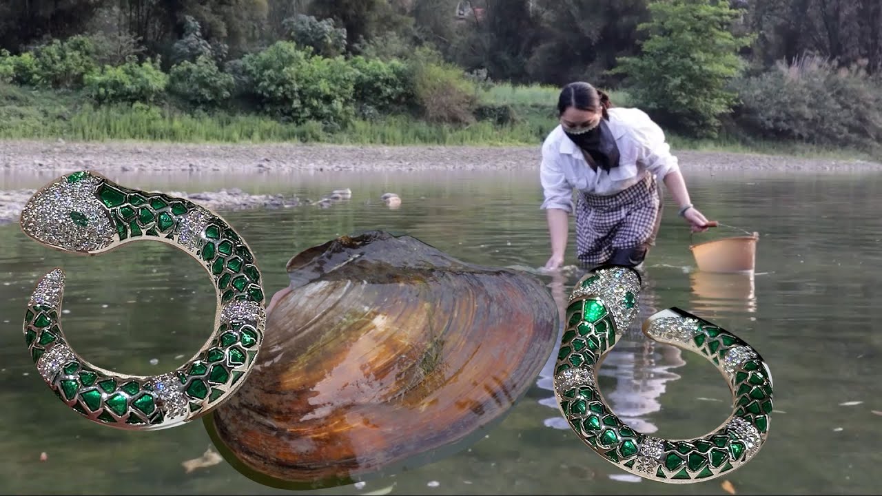 This pearl clam with only 12 years of history is unique in producing precious and distinctive pearls