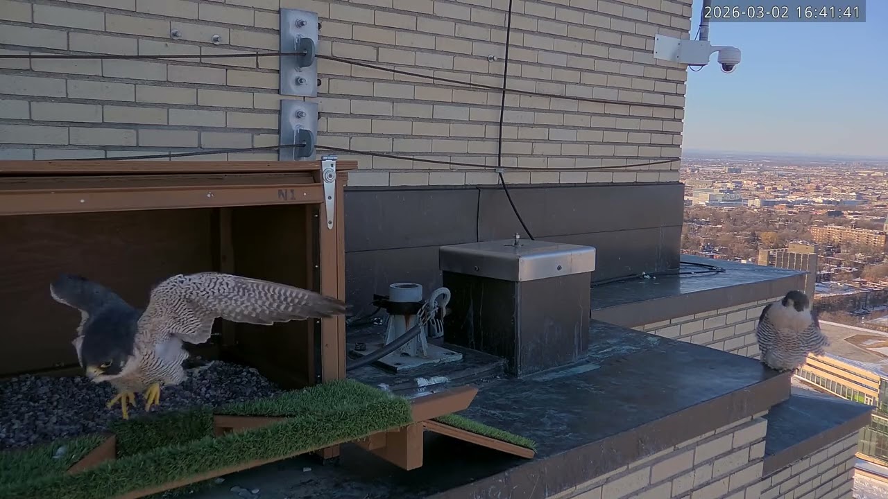 Axelle et Polo - 2 mars 2026