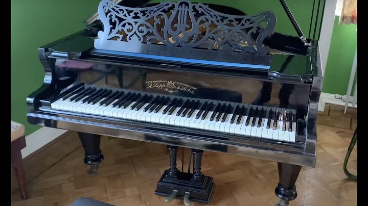 Assessment of a fine Richard Lipp grand piano 180c...
