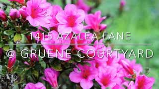 Azalea House @ Gruene Courtyard - 1415 Azalea Ln, New Braunfels TX
