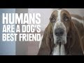 Humans Are A Dog's Best Friend