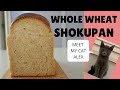 HOW TO MAKE WHOLE WHEAT SHOKUPAN~SPONGE METHOD~(EP195)  & Meet my cat Alex!