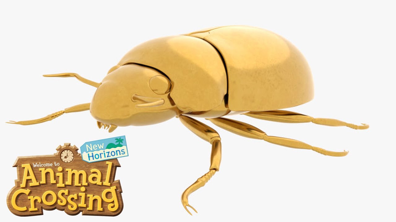 Der Gold Skarabäus in Animal Crossing New Horizons YouTube