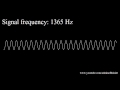 20Hz to 20kHz Human Audio Spectrum HIGH