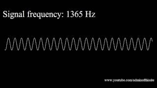 20Hz to 20kHz Human Audio Spectrum HIGH