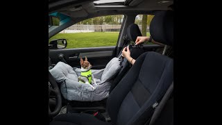 Jacko & Co - Premium Dog Car Seat