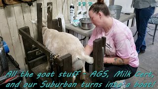 AGS Classification Milk certification and nearly turning the suburban into a boat..