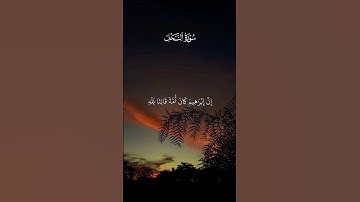#قرآن #قران_كريم #راحة_نفسية #مسلم #سورة_النحل #صوت_جميل #المصحف #اكسبلور#explore #لايك #دويتو #الله