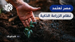 شبابيك│ بدء انتشار أنظمة الزراعة الذكية في مصر.. هل تحل أزمة شح المياه؟