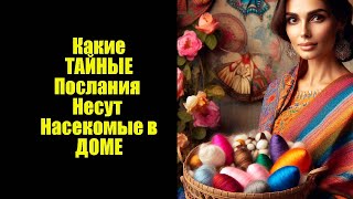 Какие ТАЙНЫЕ послания несут насекомые.