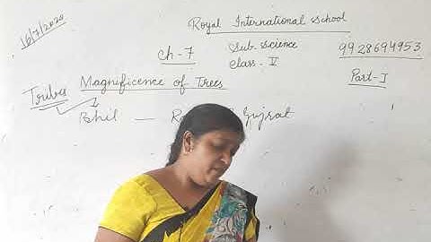 Class V EVS Chap 7 Magnificence of Trees Part 1