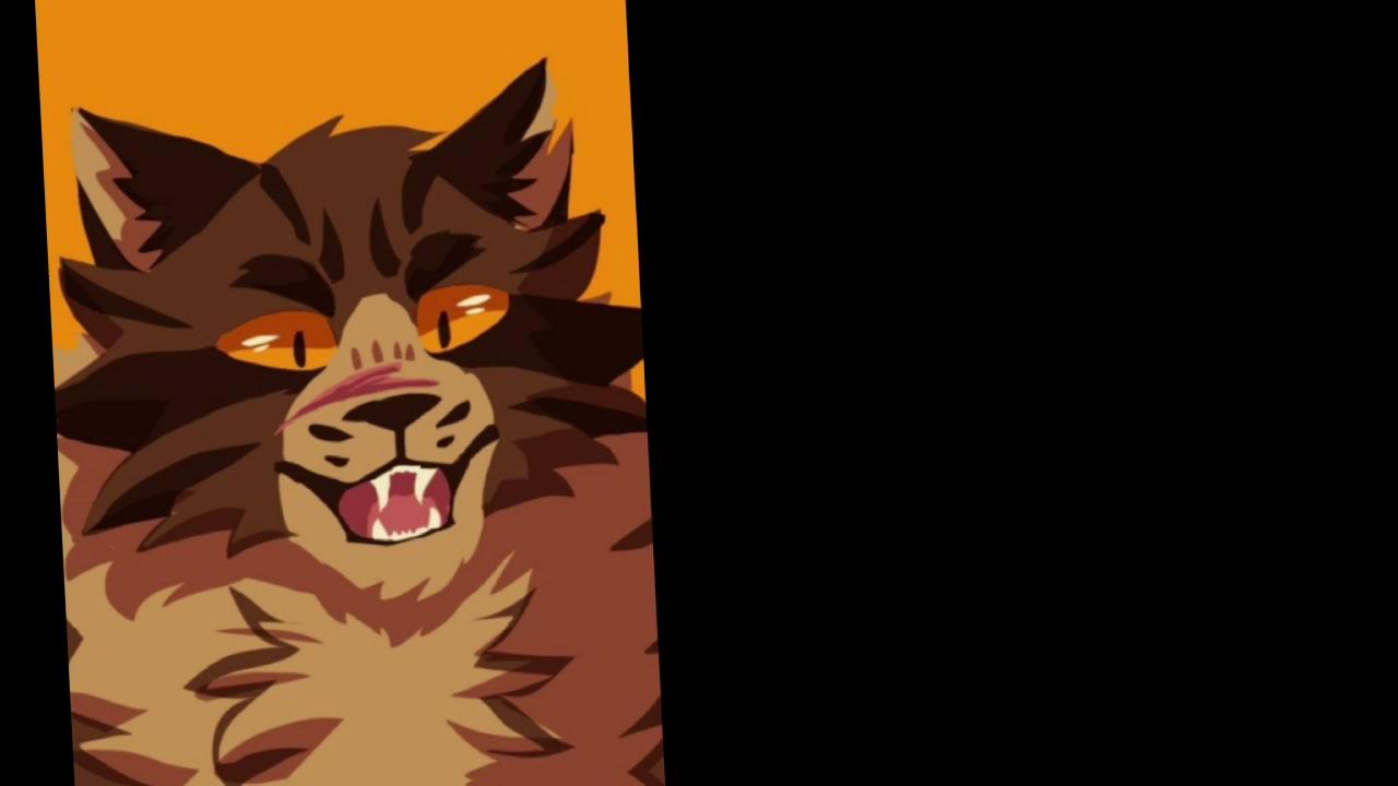 Cat edits