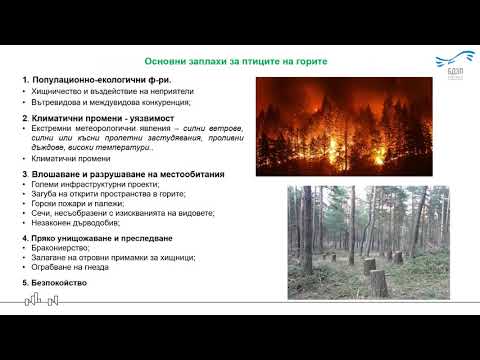 Курс за наблюдение на птици - група  София ІІ - горски птици