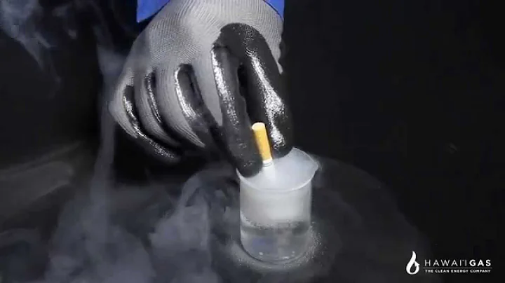 Hawaii Gas - An Introduction to LNG