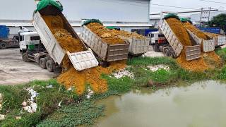 Started Location!Lanfill New Project!Using Trucks Loading Soil,Shantui HD17C3 Pushes Into HugeFeild 