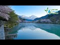 Serene Turquoise River &amp; Wooden Bridge: Relaxing Nature Sounds for Deep Sleep &amp; Meditation