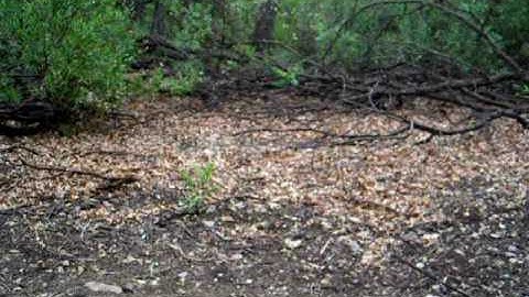 Details of Juniper Mesa Trip