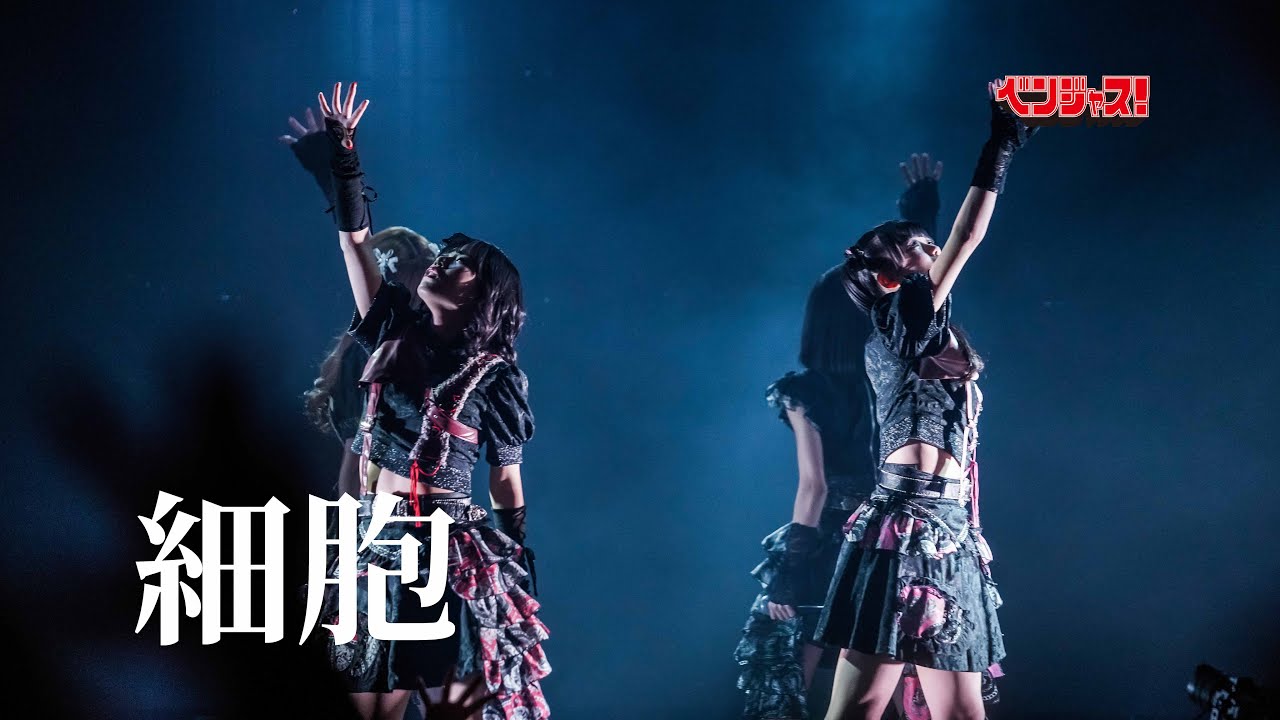 【ライブ映像】細胞/ベンジャス！【ベンジャス！現体制終了公演~拳愛祭2025~】