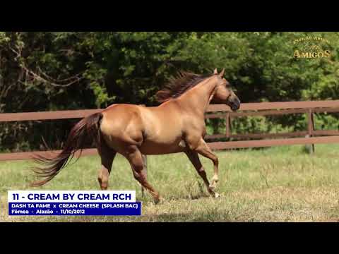 11   CREAM BY CREAM RCH