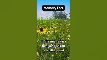 Unlocking Memories: The Power of Scent #facts #shorts