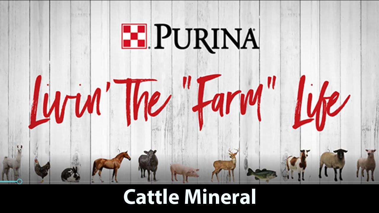 Purina Livin' the "Farm" Life Cattle Mineral YouTube